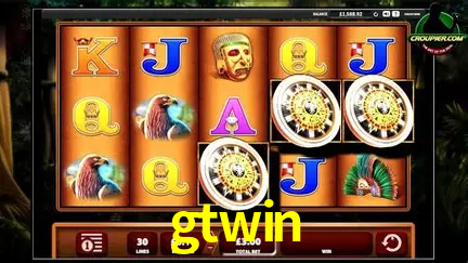 VIP Casino gtwin